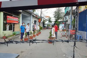 Hộ dân trong khu cách ly thi chăm sóc cây táo Mỹ 