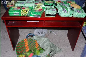 TP.HCM chặn bắt ô tô chở 20 kg ma túy giấu dưới giỏ đựng xoài 