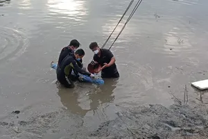 Đang giãn cách xã hội, 2 người bơi qua rạch để bắt cá, một người mất tích