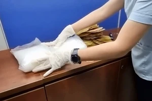 Bắt gần 5kg ma túy trong cá khô và sứa biển xuất đi Australia