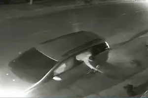 Tái diễn nạn đi trộm chó bằng ô tô ở vùng ven TP.HCM