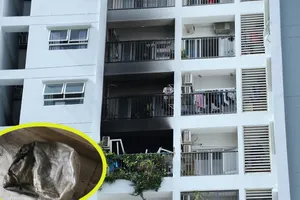 Nhân chứng: Thấy 2 mẹ con rơi lầu trong vụ cháy nhưng không làm gì được