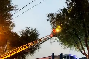 Cảnh sát huy động xe thang xử lý tổ ong dài 1m ở trung tâm TP.HCM