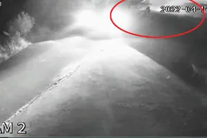 Lái ô tô đi trộm chó ở Củ Chi