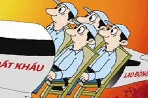 Mất tiền tỉ khi bị lừa đi xuất khẩu lao động ở Mỹ