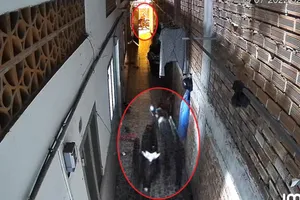 Trộm chốt khóa nhốt người trong phòng trọ rồi lấy xe máy