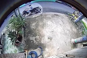 Bị giật dây chuyền hơn 10 triệu khi đứng coi cây ổi bên đường