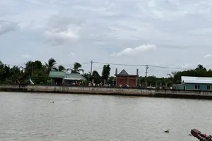 Đang nhậu, người đàn ông nhảy sông tắm bị mất tích ở gần phà Hiệp Phước