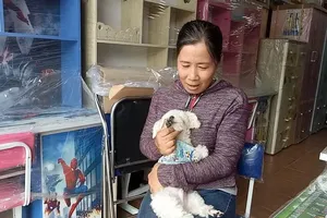 Vụ bắt trộm chó Poodle: Đã trả lại chó lúc 2 giờ sáng
