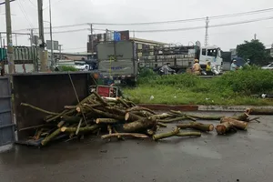 Va chạm xe tải, tài xế ba gác máy văng vào lề đường, tử vong