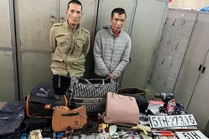 Nhóm trộm lái ô tô chuyên đột nhập biệt thự từ Nghệ An vào TP.HCM