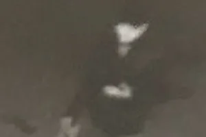 Hình sự truy tìm người đàn ông trộm xe Kia ở Tân Phú