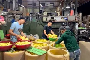 Cảnh sát bắt gần 2 tấn măng, ngó sen ngâm hóa chất ở Chợ Bình Điền