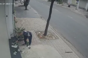 Giám đốc khốn khổ vì công ty bị rải hoa cúc trắng ngày mùng 6 Tết