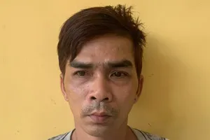 Vụ bé trai bị bạo hành, ép dùng ma túy: Bắt giam tình nhân của người mẹ