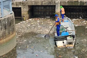 Mưa lớn, cá nổi hôm trước, hôm sau chết đầy kênh Nhiêu Lộc – Thị Nghè