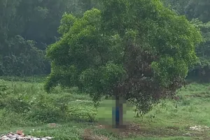 Người đàn ông tử vong trong tư thế treo cổ, chân chạm đất