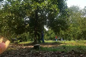 Người phụ nữ hiền lành chết thảm ở vườn trái cây, gần đó có bao thuốc, dao bấm…