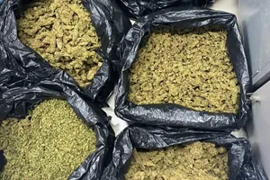 Lời khai nhóm trồng, buôn bán hàng chục cân cầng sa ở Tân Bình