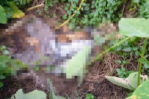 Phát hiện bộ xương người gần hiện trường án mạng trong vườn cây