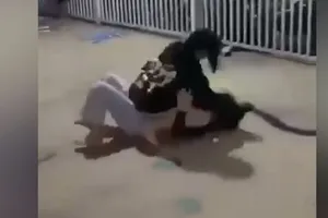 Công an làm rõ thiếu nữ bị đánh hội đồng, lột đồ ở quận 3