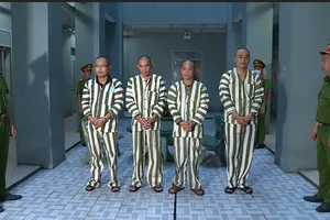 Khởi tố, tạm giam nhóm mua bán thận sau phản ánh của Pháp Luật TP.HCM