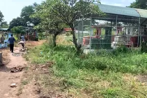 Người đàn ông tử vong bất thường ở nghĩa trang Bình Hưng Hòa