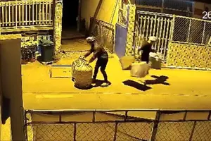 3 thanh niên trộm 7 lồng chim giá tiền triệu Hóc Môn