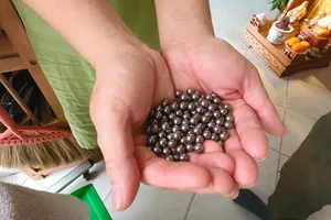 Công an làm việc với hơn 20 gia đình để tìm thủ phạm vụ bắn bi sắt gần Tân Sơn Nhất