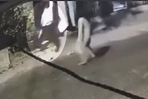 Diễn biến mới ‘vụ án mạng từ việc chó phóng uế’ qua camera an ninh