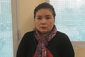 Giám đốc công ty đo vẽ bản đồ đất không có thật để lừa tiền tỉ