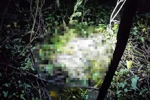 Đi soi cá, phát hiện bộ xương người dưới mương nước ở Hóc Môn