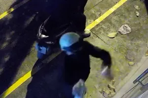 Tá hỏa phát hiện cửa hàng hoa bị xịt sơn, tạt mắm tôm ở Hóc Môn