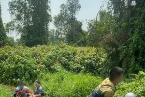 Nhóm người Trung Quốc bắt cóc đồng hương tống tiền 10 tỉ ở TP.HCM