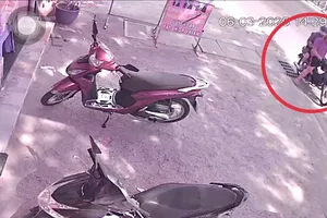 2 thanh niên trộm búp bê baby three trong ngày 6-3