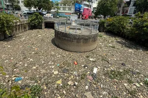 Cá chết đầy kênh đẹp nhất TP.HCM, người dân bịt mũi khi qua lại