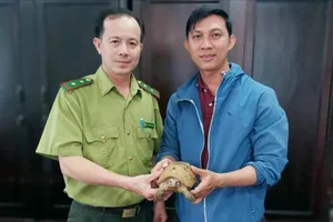 Người dân ở phường Thạnh Mỹ Tây và phường Bàn Cờ phát hiện 2 con rùa núi vàng khi tập thể dục