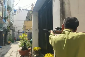 Khỉ đực gần 7kg quậy phá, trộm trái cây... ở Bình Hưng Hòa bị bắn thuốc mê