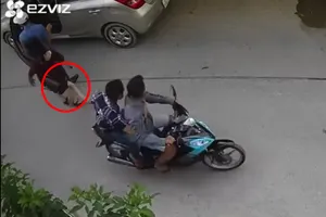 Bắt hai kẻ giật túi xách khiến 1 phụ nữ đập đầu xuống đường