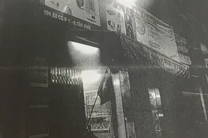 Công an Tân Bình tìm nhân chứng vụ cướp giật tài sản