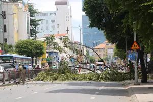 Cây gãy nhánh rơi trúng xe máy chở 3 người