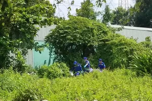 Đi chặt cây phát hiện thi thể treo cổ trong khu công nghiệp 