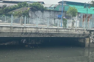 Đang đi dạo thì phát hiện thi thể phân hủy ở kênh Tân Hóa