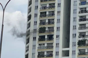 Cháy căn hộ ở chung cư Flemington, quận 11