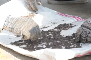 Đinh tặc 'bẫy' người về quê ăn Tết trên Quốc lộ 1