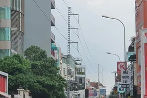 Bỏng nặng vì bị đường dây 110KV phóng điện