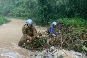 Quảng Ngãi: Mưa lớn, sạt lở núi gây ách tắc Quốc lộ 24C