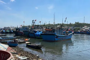 Quảng Ngãi đề nghị 10 tỉnh ngăn chặn 51 tàu cá không lắp giám sát hành trình