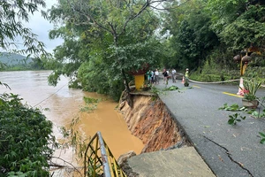 Quảng Ngãi: Nước sông Vệ cuồn cuộn, nhiều nơi bị sạt lở