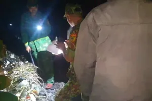 Tiếp tục phát hiện hộp chứa hơn 1.500 viên nghi ma túy dạt vào bờ biển Quảng Ngãi